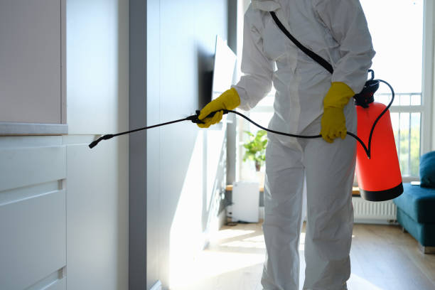 Best Home Mold Removal  in Forsgate, NJ