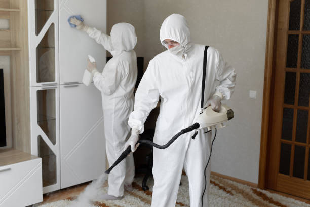 Best Mold Removal Near Me  in Forsgate, NJ