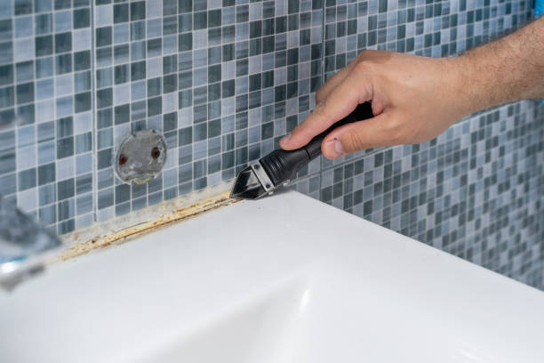 Best Best Mold Removal Companies  in Forsgate, NJ