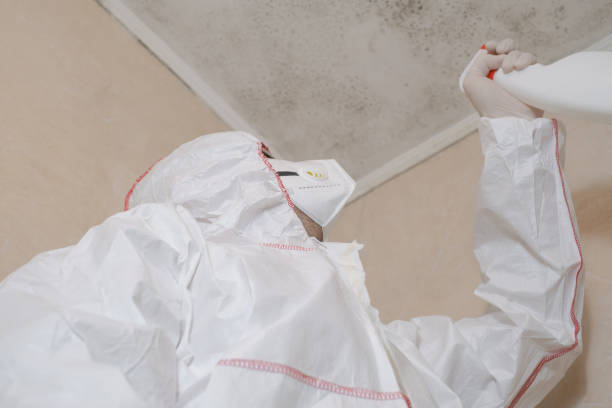 Best Emergency Mold Removal  in Forsgate, NJ