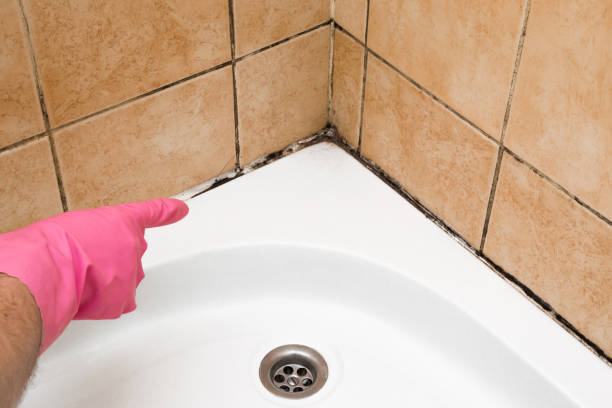 Best Mold Cleaning Services  in Forsgate, NJ